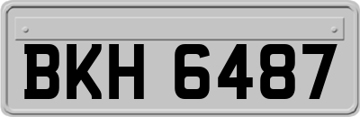 BKH6487