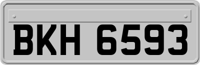 BKH6593