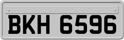 BKH6596