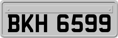 BKH6599