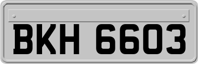 BKH6603