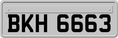 BKH6663