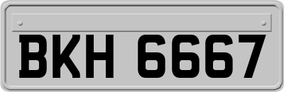 BKH6667