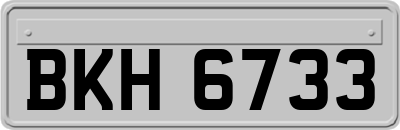 BKH6733