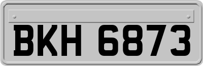 BKH6873