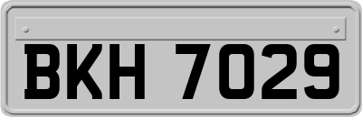 BKH7029