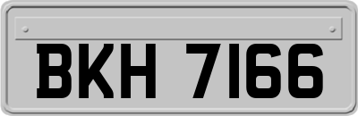 BKH7166