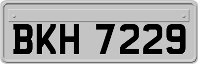 BKH7229