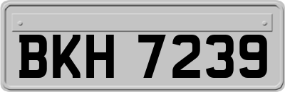 BKH7239