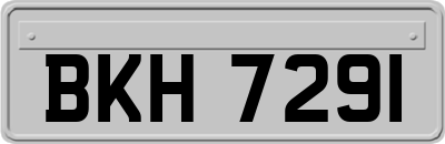 BKH7291