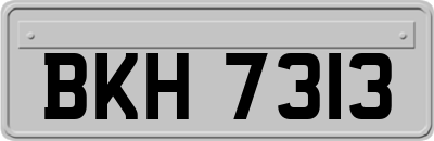 BKH7313