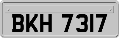 BKH7317