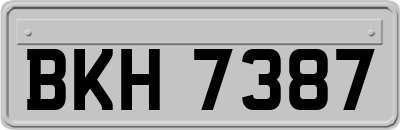 BKH7387