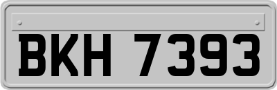 BKH7393
