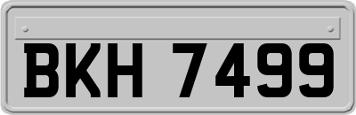 BKH7499