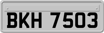BKH7503