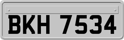 BKH7534