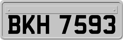 BKH7593