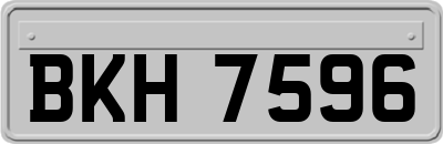 BKH7596