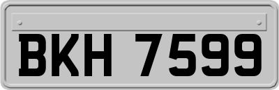 BKH7599