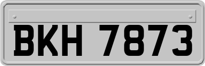 BKH7873