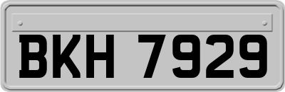 BKH7929