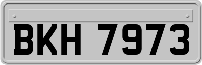 BKH7973
