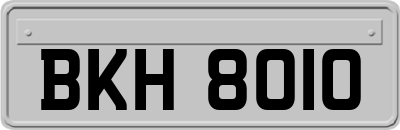 BKH8010