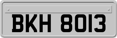 BKH8013
