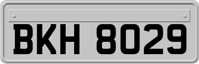 BKH8029