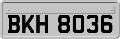 BKH8036