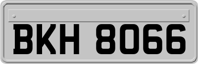 BKH8066