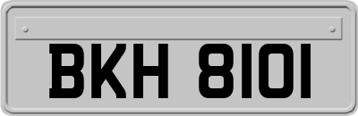 BKH8101