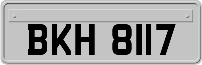 BKH8117