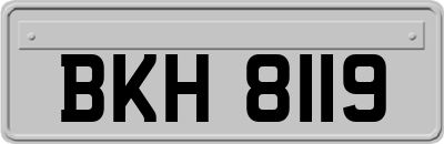 BKH8119