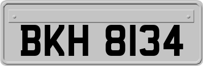 BKH8134