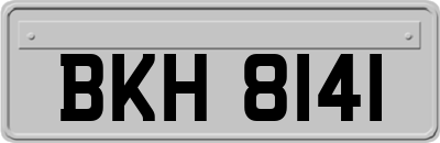 BKH8141