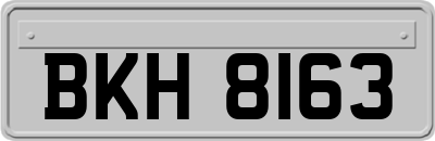 BKH8163