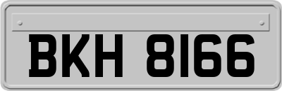 BKH8166