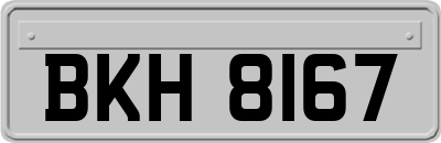 BKH8167