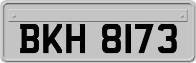 BKH8173