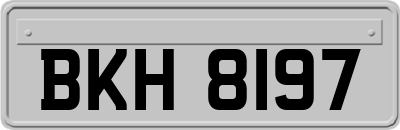 BKH8197