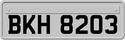 BKH8203