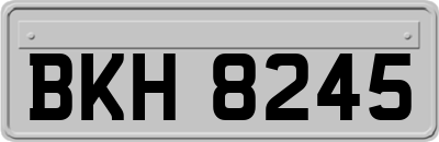 BKH8245