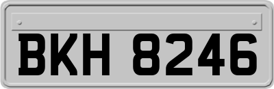 BKH8246