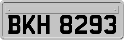 BKH8293