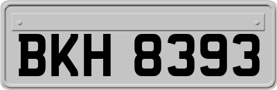 BKH8393