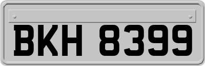 BKH8399