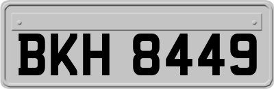 BKH8449