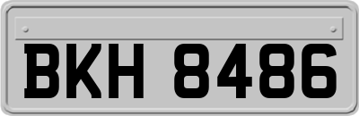BKH8486